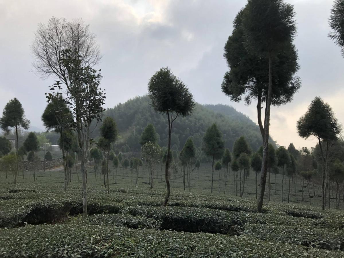 Вилла 悟 佐茶 Satori Tea Leye Экстерьер фото
